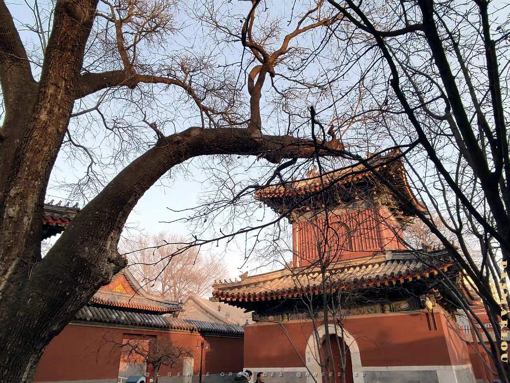 2023 02 05  PEKIN - WANSHOU TEMPLE LONGEVITE BIENVEILLANCE (15).jpg